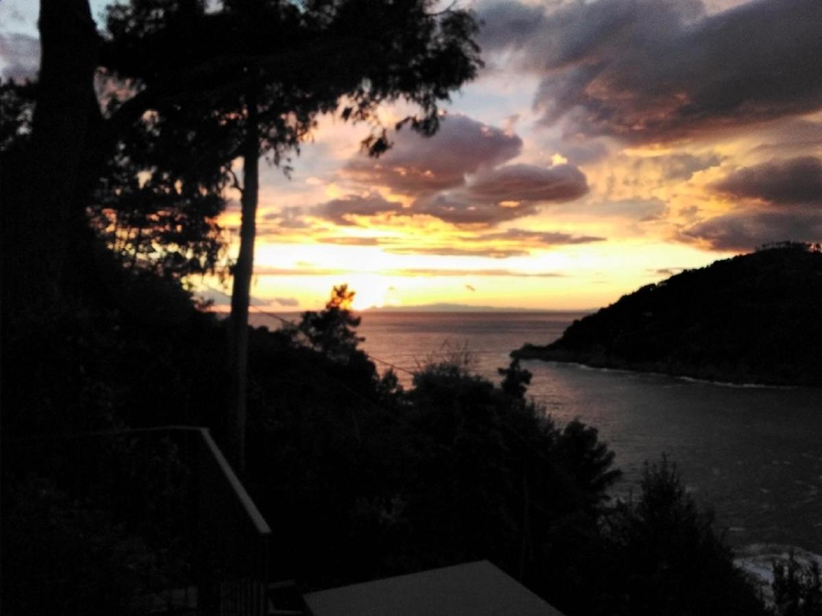 Villa Mimosa Splendida Vista Mare بوناسولا المظهر الخارجي الصورة