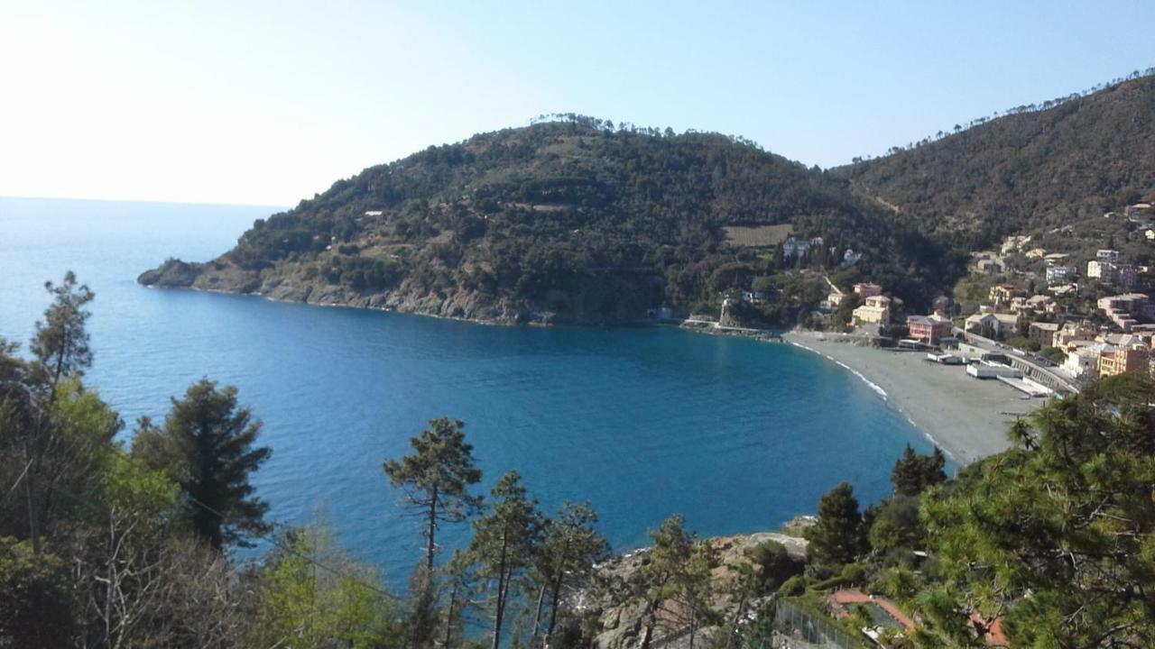 Villa Mimosa Splendida Vista Mare بوناسولا المظهر الخارجي الصورة